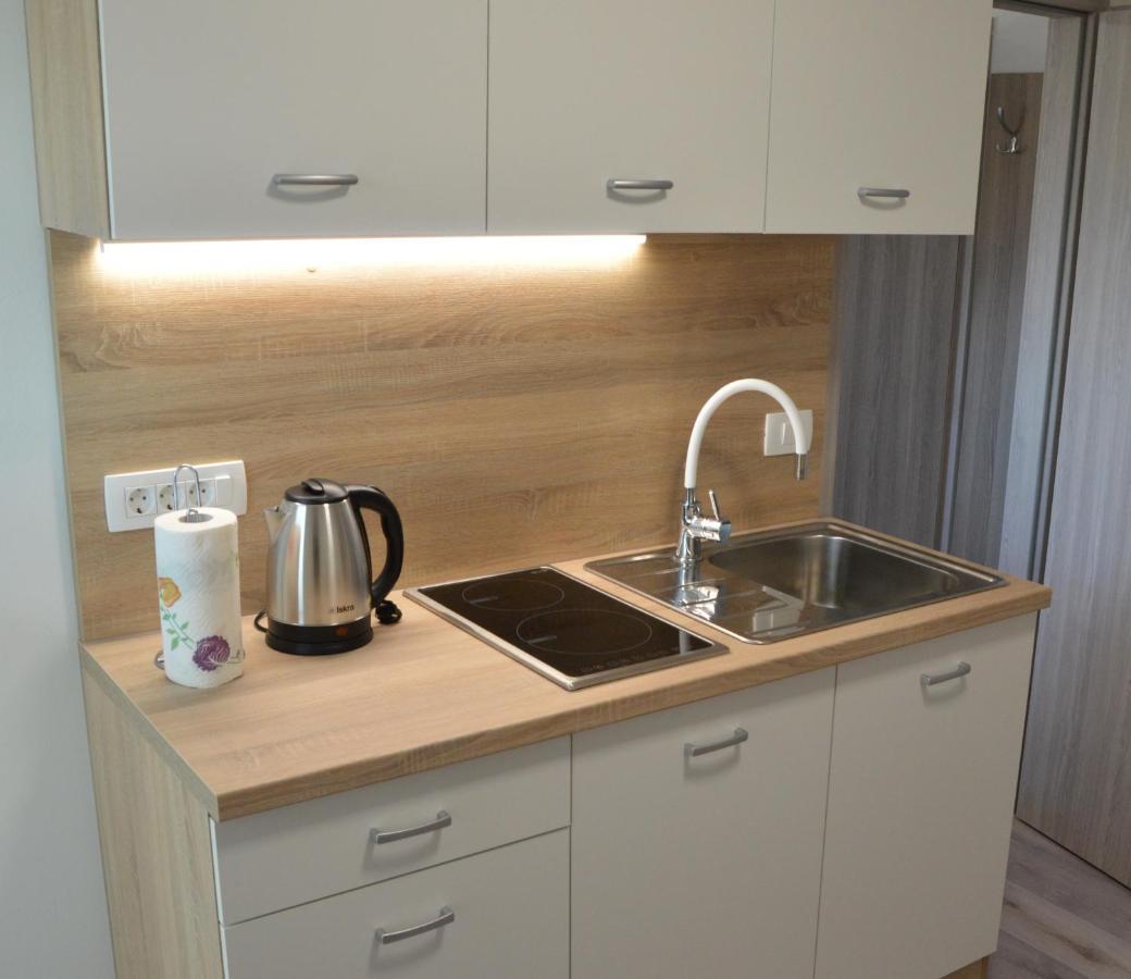 Apartma Vila Zigmund Cerknica Exterior foto